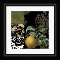 Damask Lerain III Framed Print