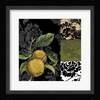 Damask Lerain IV Framed Print