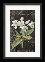 Fleurs de Paris I Framed Print