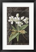 Fleurs de Paris I Fine Art Print