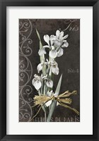 Fleurs de Paris II Fine Art Print