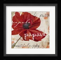 Le Pavot I Framed Print