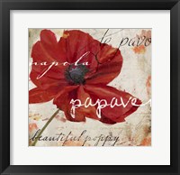 Le Pavot I Fine Art Print