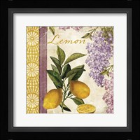 Summer Citrus I Framed Print