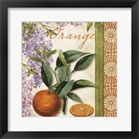 Summer Citrus II Framed Print