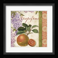 Summer Citrus III Fine Art Print