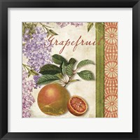 Summer Citrus III Framed Print