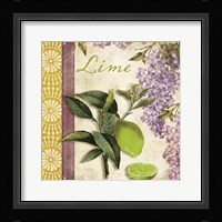 Summer Citrus IV Framed Print