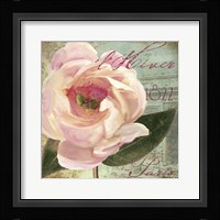 Saisons II Framed Print