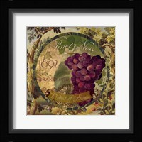 Wines of France II Fine Art Print