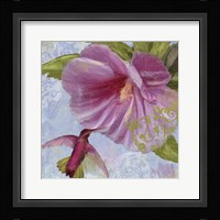 Humming Hibiscus I Fine Art Print