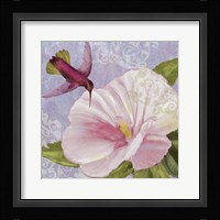 Humming Hibiscus II Framed Print