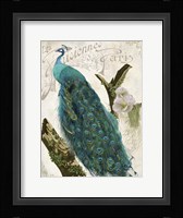 Les Paons I Fine Art Print