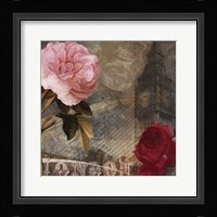 Rose of London II Framed Print