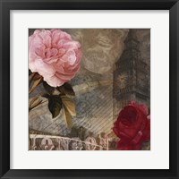 Rose of London II Framed Print
