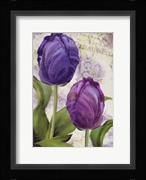 Parrot Tulips I Framed Print