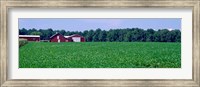 Green Field with Barn, Maryland Fine Art Print