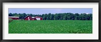 Green Field with Barn, Maryland Fine Art Print