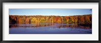 Reflection of Trees and Plants in Water, Bergen County, New Jersey Fine Art Print