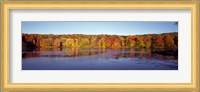 Reflection of Trees and Plants in Water, Bergen County, New Jersey Fine Art Print