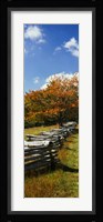 Fence in a Park, Blue Ridge Parkway, Virginia Fine Art Print