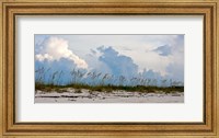 Reed Grass on Beach, Great Exuma Island, Bahamas Fine Art Print