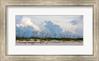 Reed Grass on Beach, Great Exuma Island, Bahamas Fine Art Print