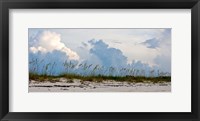 Reed Grass on Beach, Great Exuma Island, Bahamas Fine Art Print