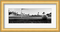 Close Up Golf Ball And Hole, Hawaii Fine Art Print