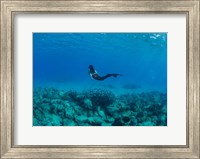 View of Mermaid Swimming Undersea, Hawaii Fine Art Print