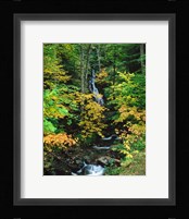 Moss Glen Falls, Granville Reservation State Park, Vermont Fine Art Print