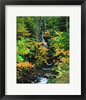 Moss Glen Falls, Granville Reservation State Park, Vermont Fine Art Print