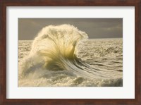 Waves in the Pacific Ocean, San Pedro, Los Angeles, California Fine Art Print