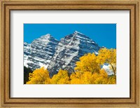 Trees with Mountain Range in the Background, Maroon Creek Valley, Aspen, Colorado Fine Art Print