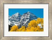 Trees with Mountain Range in the Background, Maroon Creek Valley, Aspen, Colorado Fine Art Print