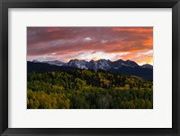 Trees with Mountain Range at dusk, Aspen, Colorado Fine Art Print