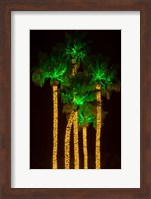 Illuminated Palm Trees at Dana Point Harbor, California Fine Art Print