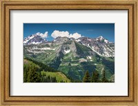 Trees on a Mountain, Crested Butte, Colorado Fine Art Print
