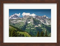 Trees on a Mountain, Crested Butte, Colorado Fine Art Print