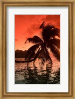 Palm Trees at Sunset, Moorea, Tahiti, French Polynesia Fine Art Print