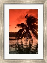 Palm Trees at Sunset, Moorea, Tahiti, French Polynesia Fine Art Print