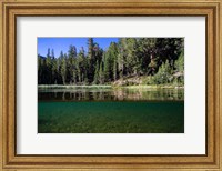 Half Water Half Land, Reflection of Trees in Walker River, California Fine Art Print