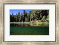 Half Water Half Land, Reflection of Trees in Walker River, California Fine Art Print