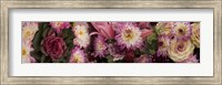 Close-up of Flowers in a Bouquet Fine Art Print