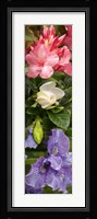 Close-up of Rhododendron and Iris flowers Fine Art Print