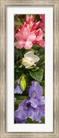 Close-up of Rhododendron and Iris flowers Fine Art Print