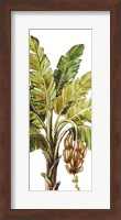 Tropical Palm Paradise II Fine Art Print