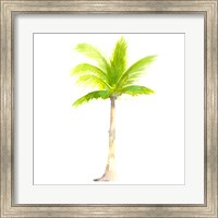 Tropical Icons Palm Tree Fine Art Print