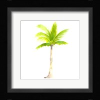 Tropical Icons Palm Tree Fine Art Print