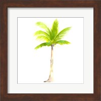 Tropical Icons Palm Tree Fine Art Print